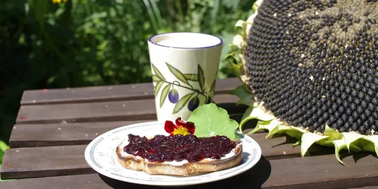 Pyszny tost z kremem i dżemem z czarnej porzeczki, idealny pomysł co zrobić z czarnej porzeczki. Obok kubek i słonecznik.