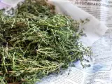 Suszone zioła, idealne jako zamiennik czubrycy. Wzbogać swoje dania aromatem!