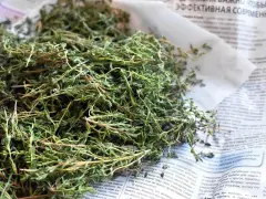 Suszone zioła, idealne jako zamiennik czubrycy. Wzbogać swoje dania aromatem!
