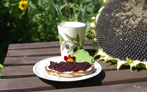 Pyszny tost z kremem i dżemem z czarnej porzeczki, idealny pomysł co zrobić z czarnej porzeczki. Obok kubek i słonecznik.