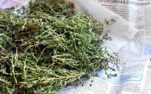Suszone zioła, idealne jako zamiennik czubrycy. Wzbogać swoje dania aromatem!