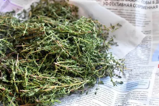 Suszone zioła, idealne jako zamiennik czubrycy. Wzbogać swoje dania aromatem!