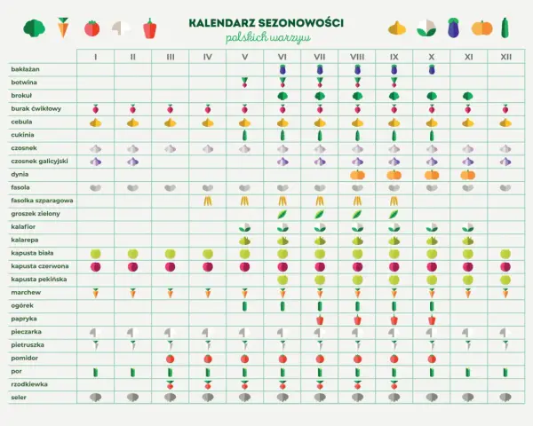 Kalendarz polskich warzyw sezonowych. W czerwcu dostępne są m.in. fasolka szparagowa, groszek zielony, kalarepa, kapusta biała i czerwona, ogórek, papryka, pomidor.