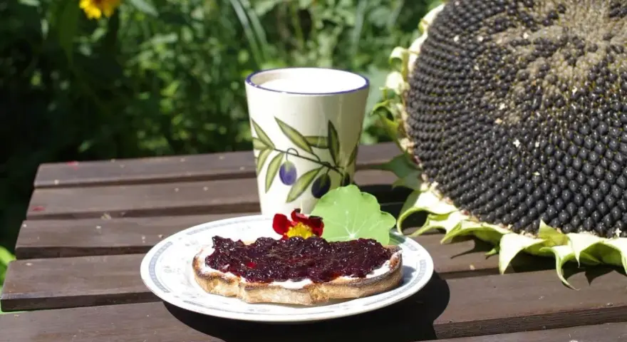 Pyszny tost z kremem i dżemem z czarnej porzeczki, idealny pomysł co zrobić z czarnej porzeczki. Obok kubek i słonecznik.