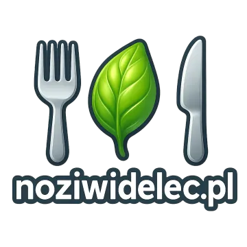 Logo noziwidelec.pl